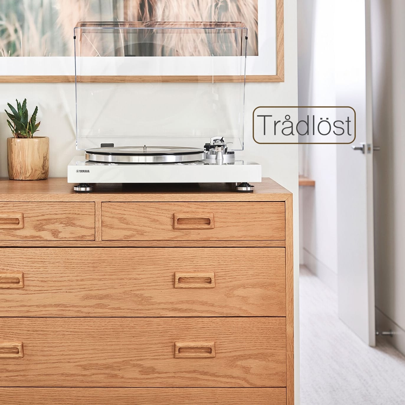 Yamaha MusicCast 500 - Bild 5