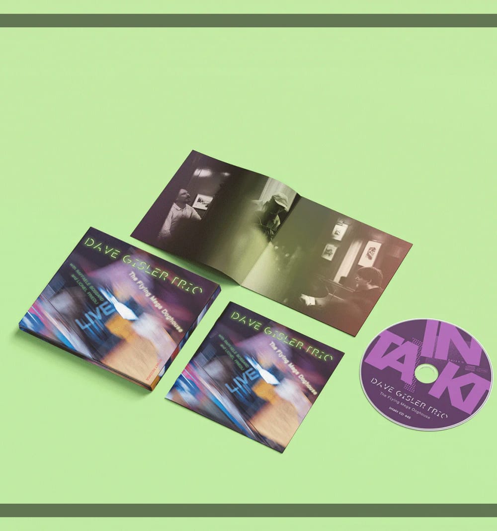 Dave Gisler Trio - The Flying Mega Doghouse LIVE - Bild 2