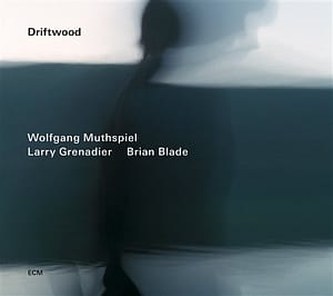 Wolfgang Muthspiel - Driftwood